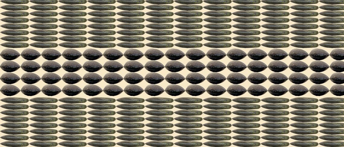 253, Steingeld, Ursprung Neuguinea, Serie Value 2017