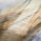 Value PB, Plamenblatt-Geld, Trobriand Inseln, Serie Value 2017